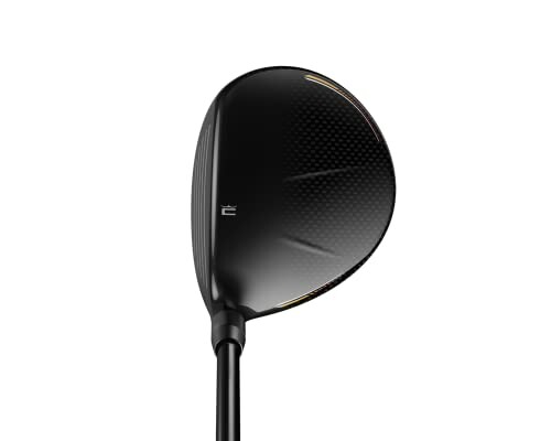 Close-up of a black golf club head