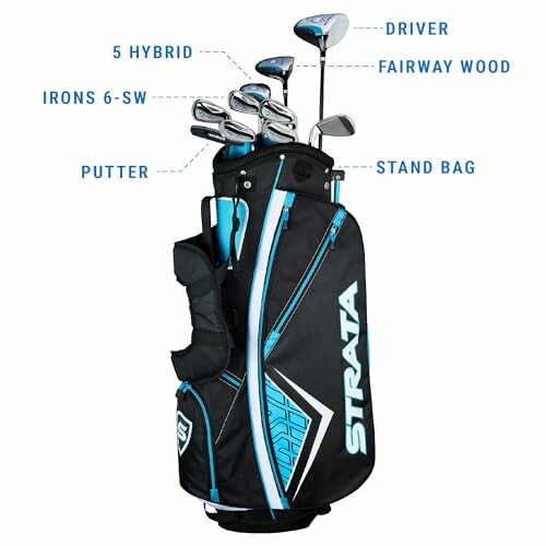 Complete golf club set with stand bag and labeled clubs: driver, fairway wood, 5 hybrid, irons 6-SW, and putter.